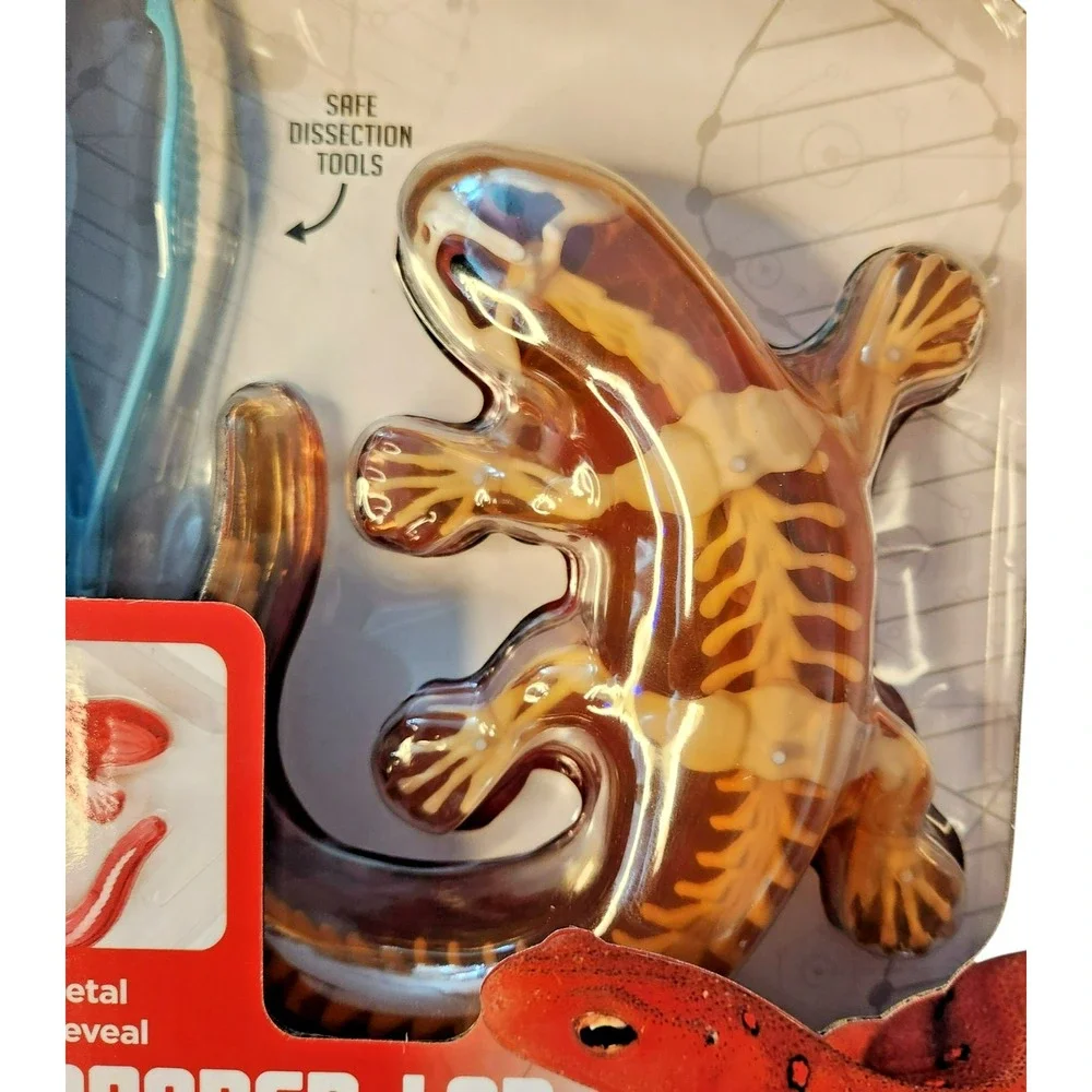 Dissect It Synthetic‎ Dissection Kit - Salamander Lab